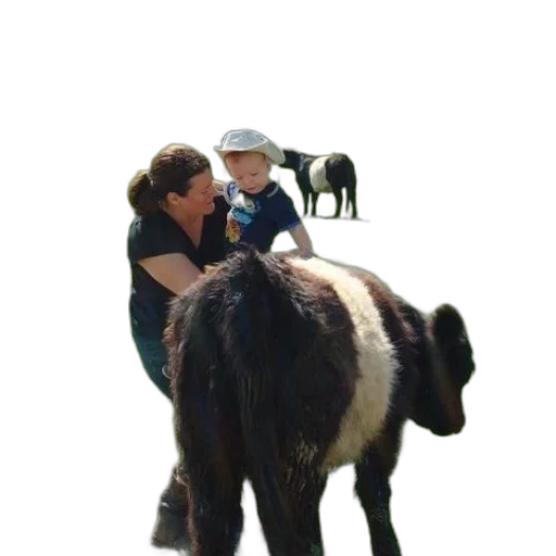 animal, creature, hat, staff transparent PNG cut-out