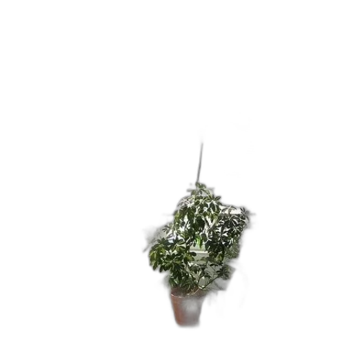 flower, crown, tree, staff transparent PNG cut-out