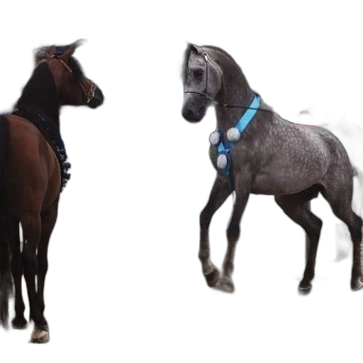 animal, creature, 3d render, concept art transparent PNG cut-out