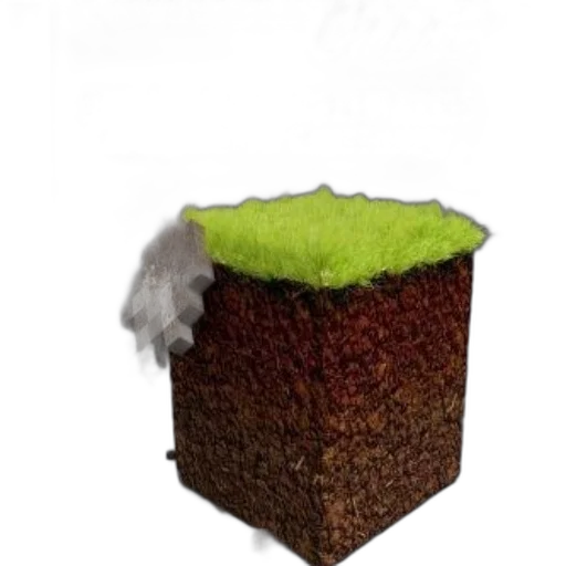 hat, food, hair, tree transparent PNG cut-out