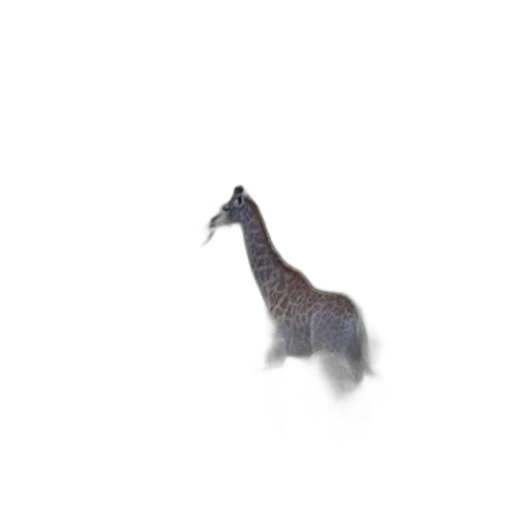 animal, dragon, creature, hat transparent PNG cut-out