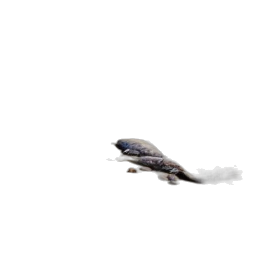 dragon, animal, creature, weapon transparent PNG cut-out