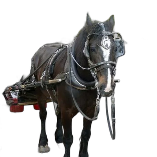 staff, animal, robot, weapon transparent PNG cut-out