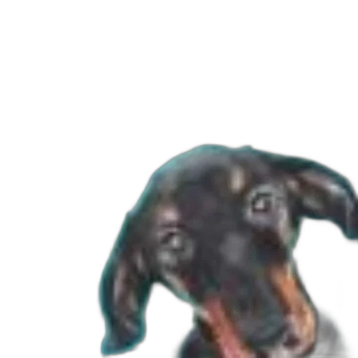 animal, creature, face, dragon transparent PNG cut-out