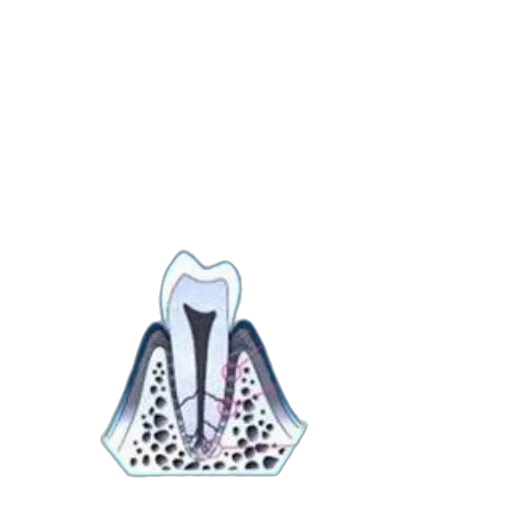 shoes, jewelry, crown, mask transparent PNG cut-out