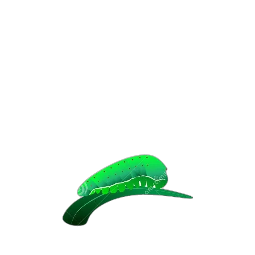 hat, creature, animal, weapon transparent PNG cut-out