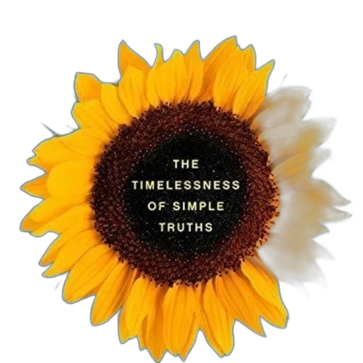 flower, dress, crown, cover transparent PNG cut-out