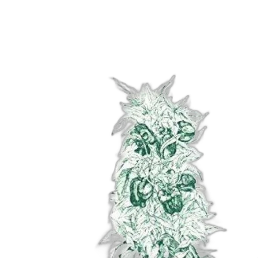 jewelry, crown, dragon, dress transparent PNG cut-out
