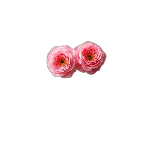flower, jewelry, crown, staff transparent PNG cut-out