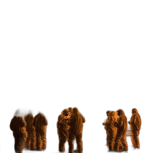 hair, animal, furniture, staff transparent PNG cut-out
