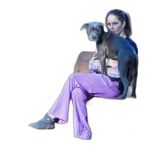 animal, creature, staff, furniture transparent PNG cut-out