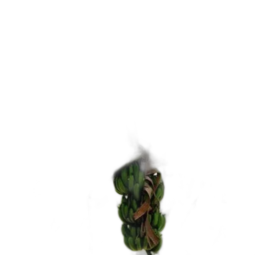 dragon, creature, flower, staff transparent PNG cut-out