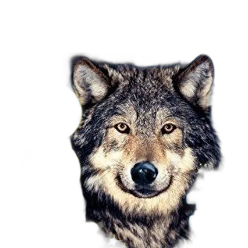 animal, creature, staff, face transparent PNG cut-out