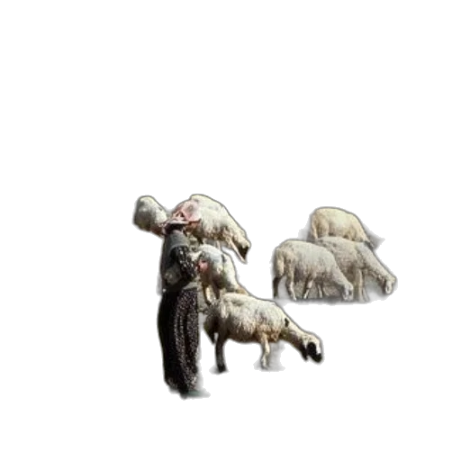 animal, staff, hat, jacket transparent PNG cut-out