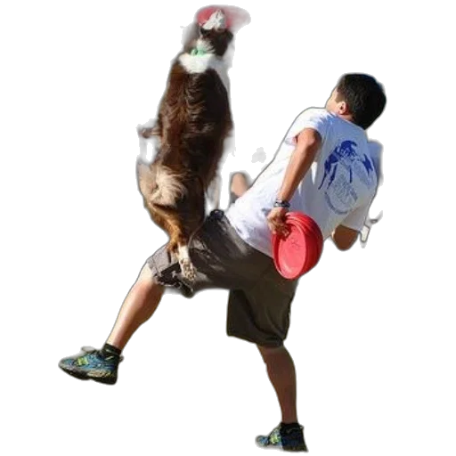 animal, creature, photorealistic, man transparent PNG cut-out