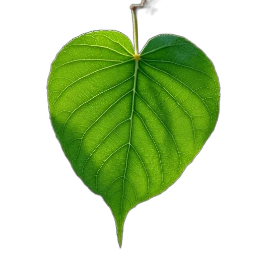 flower, tree, staff, food transparent PNG cut-out