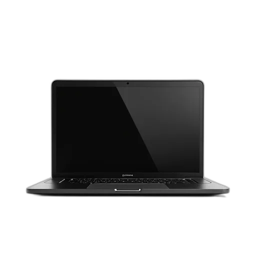 staff, 3d render, sleek, black transparent PNG cut-out