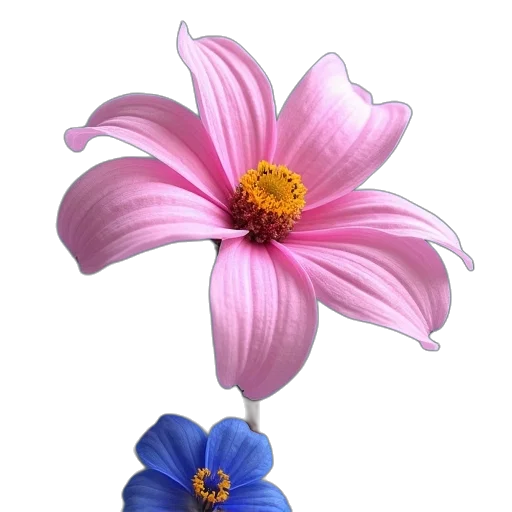 flower, crown, jewelry, staff transparent PNG cut-out