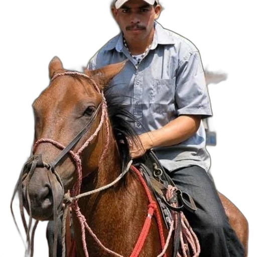 animal, staff, weapon, jewelry transparent PNG cut-out