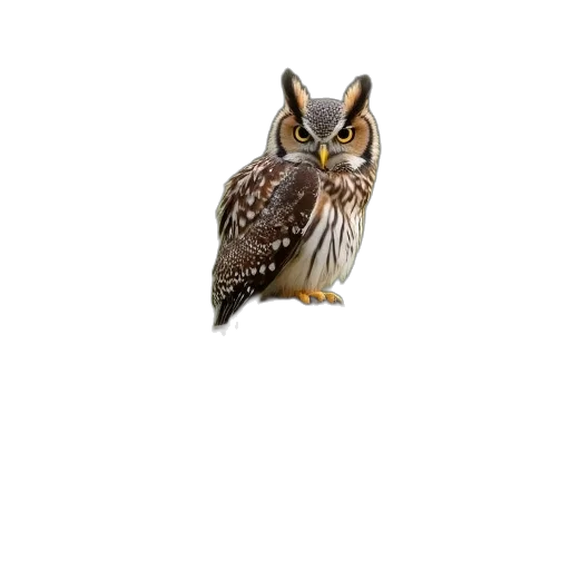 animal, jewelry, staff, creature transparent PNG cut-out