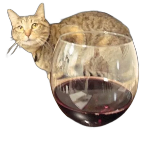 animal, food, photorealistic, pixel art transparent PNG cut-out