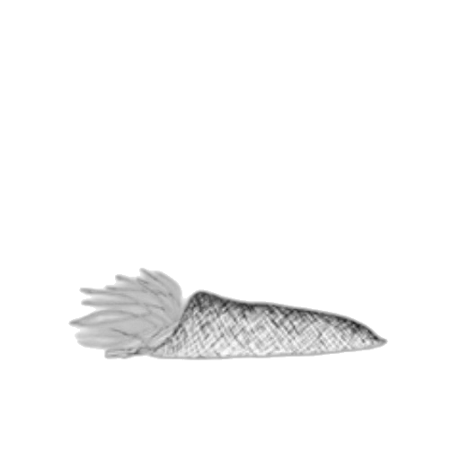 animal, weapon, creature, jewelry transparent PNG cut-out