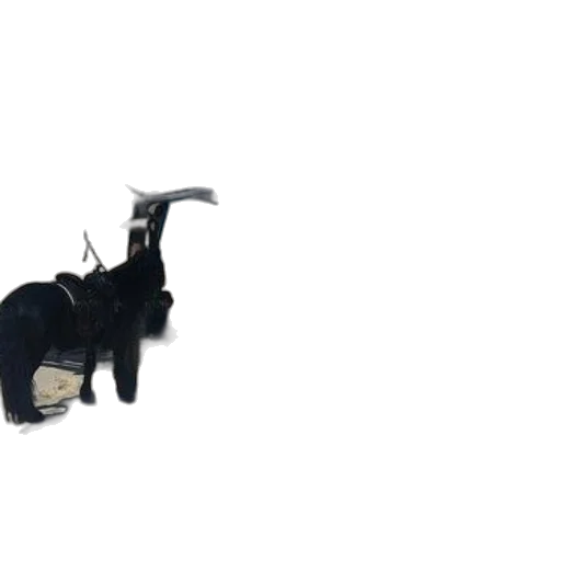 animal, staff, creature, jewelry transparent PNG cut-out