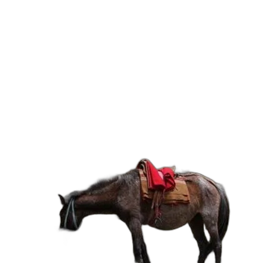 animal, hat, crown, staff transparent PNG cut-out