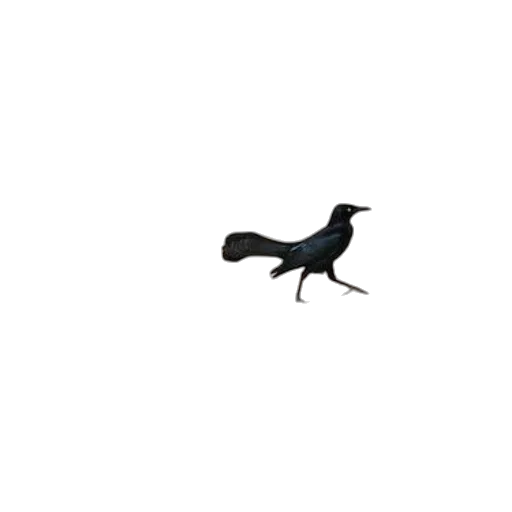 animal, creature, staff, dragon transparent PNG cut-out