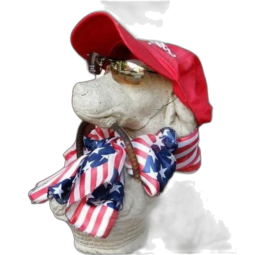 hat, statue, dog, wearing transparent PNG cut-out