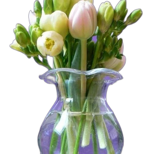 flower, crown, bottle, jewelry transparent PNG cut-out