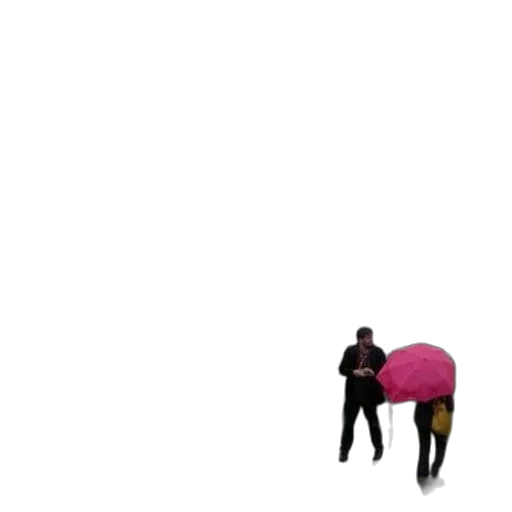 umbrella, hat, jacket, staff transparent PNG cut-out