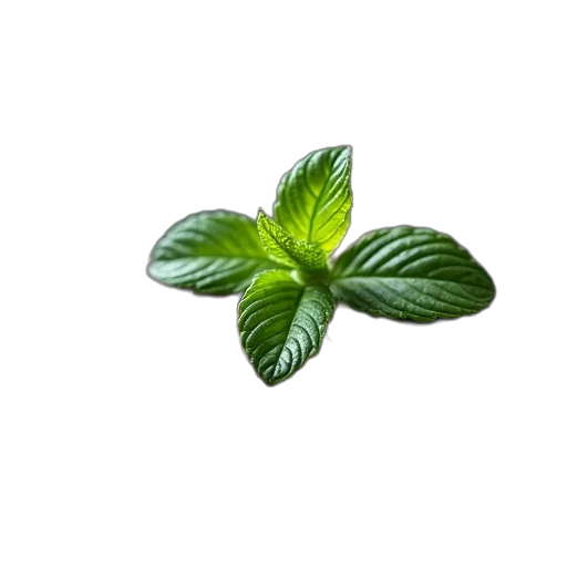 flower, food, staff, crown transparent PNG cut-out