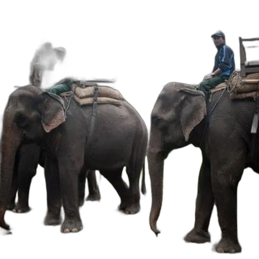 animal, staff, concept art, photorealistic transparent PNG cut-out