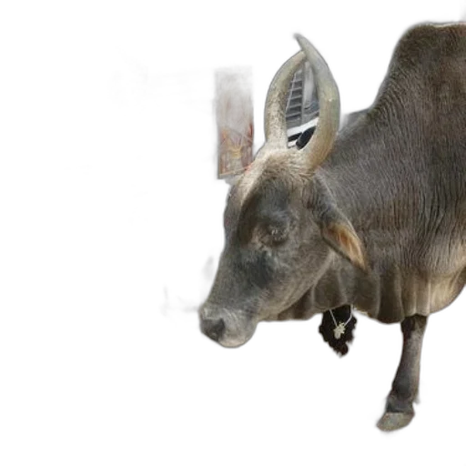 animal, creature, staff, weapon transparent PNG cut-out