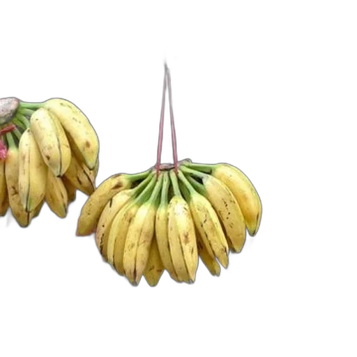 crown, food, jewelry, flower transparent PNG cut-out