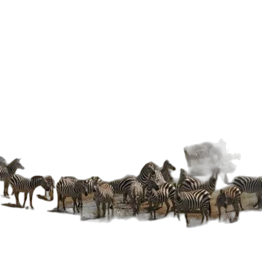 animal, concept art, 3d render, fantasy art transparent PNG cut-out