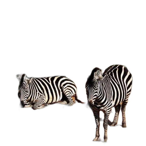 animal, jewelry, furniture, shoes transparent PNG cut-out