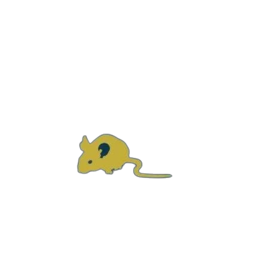 animal, creature, dragon, food transparent PNG cut-out