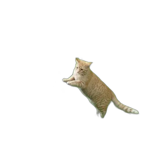 animal, creature, staff, weapon transparent PNG cut-out