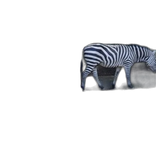 furniture, animal, creature, shoes transparent PNG cut-out
