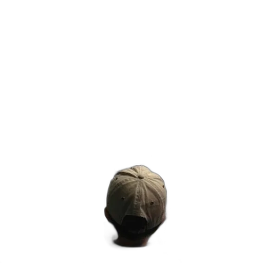 hat, hair, crown, jacket transparent PNG cut-out