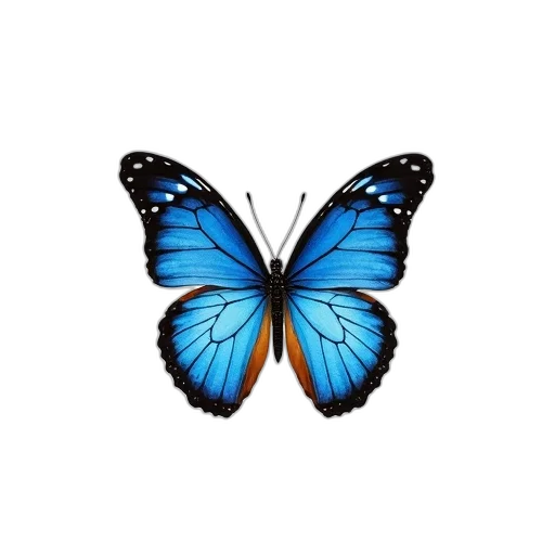 animal, creature, flower, jewelry transparent PNG cut-out