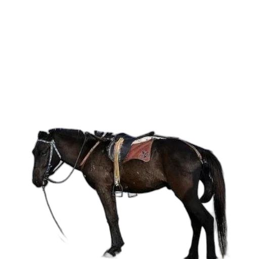 animal, staff, creature, robot transparent PNG cut-out