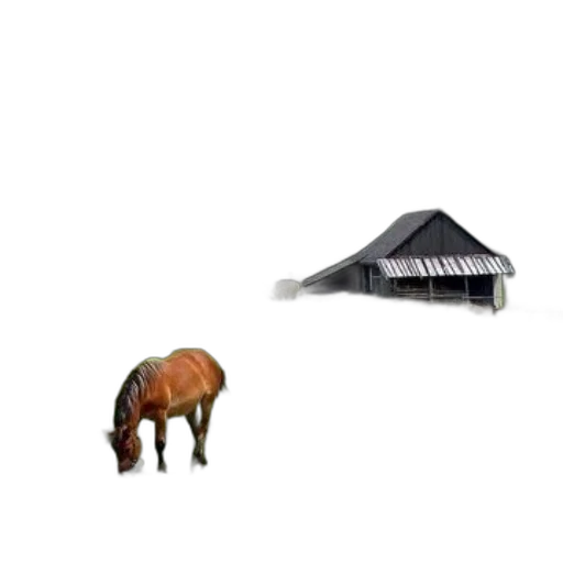 animal, furniture, creature, building transparent PNG cut-out