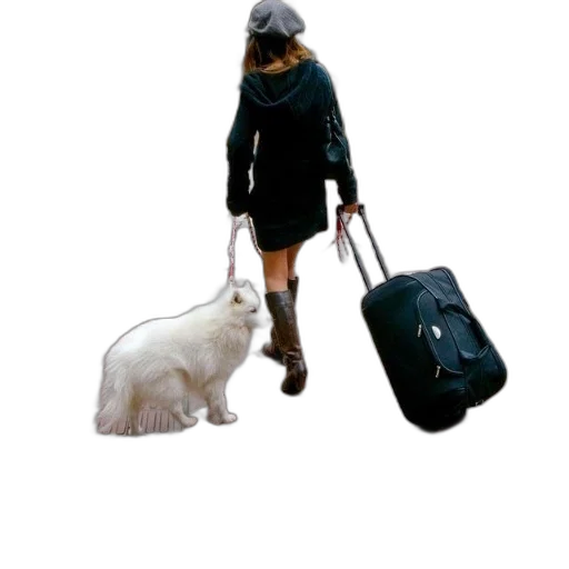 staff, animal, jacket, hat transparent PNG cut-out