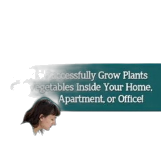 staff, gardening, guide, book transparent PNG cut-out