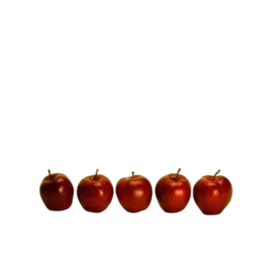 food, crown, jewelry, tree transparent PNG cut-out