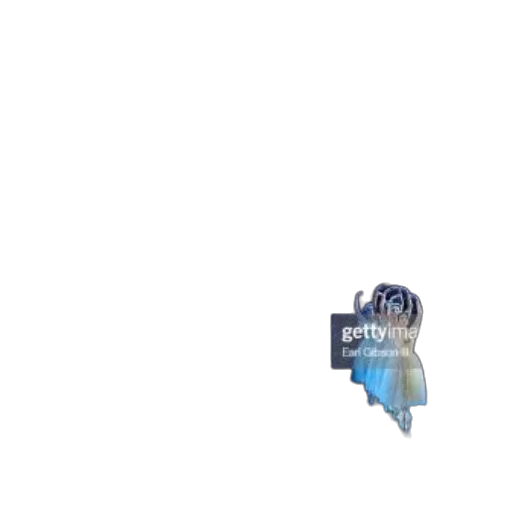 robot, weapon, dress, creature transparent PNG cut-out
