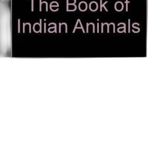 animal, creature, image, book transparent PNG cut-out